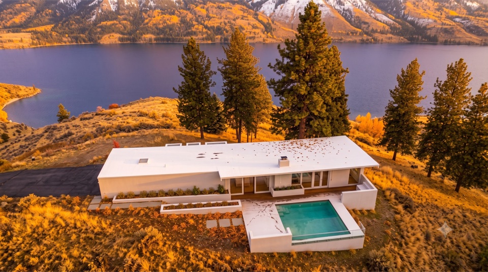 Autumn gold against the lake.